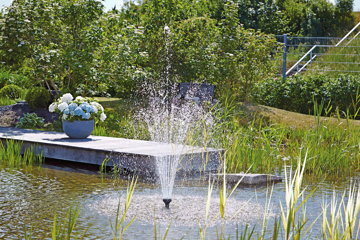 Wasserspiele im Teich