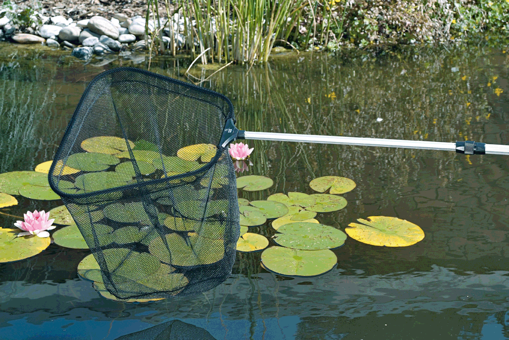 Helfer zur Teichreinigung