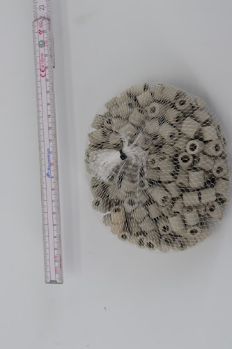 oase Ersatz Keramikbeutel für Filtral mittel  (72796)