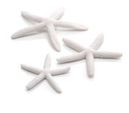 biOrb Seestern Set 3 weiß (46134) biOrb Seestern Set 3 weiß (46134)Zubehörbild
