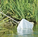 Vorschaubild Teichkescher "POND NET 25" (TZ331-00)