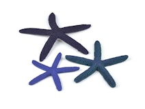 biOrb Seestern Set 3 blau (46143)Zubehörbild