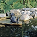 Ubbink Wasserspeier Frosch Ubbink Wasserspeier FroschZubehörbild