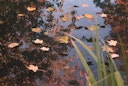 Vorschaubild Ubbink PondNet Laubschutznetz 4 x 6 m