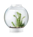 Vorschaubild BiOrb Aquarium CLASSIC 30 LED