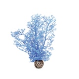 biOrb Hornkoralle klein blau (46091) biOrb Hornkoralle klein blau (46091)Zubehörbild