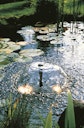 Vorschaubild Ubbink Xtra 1600 Springbrunnenpumpe