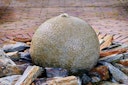 Vorschaubild Oase Wasserspiel- & Brunnenpumpe Aquarius Universal Classic 2000 / 12 V