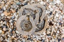 Vorschaubild Heissner Gartenbrunnen "Baumstümpfe" (016585-00)