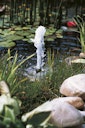 Vorschaubild Ubbink Xtra 3900 Springbrunnenpumpe