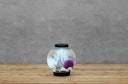 Vorschaubild BiOrb Aquarium CLASSIC 15 LED