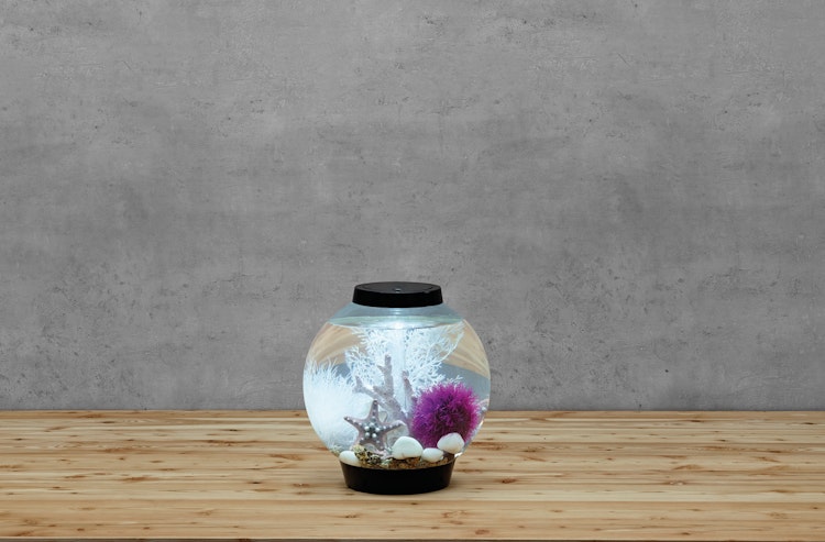 BiOrb Aquarium CLASSIC 15 LED