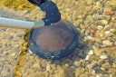 Vorschaubild Oase Saugglocke für PondoVac Premium