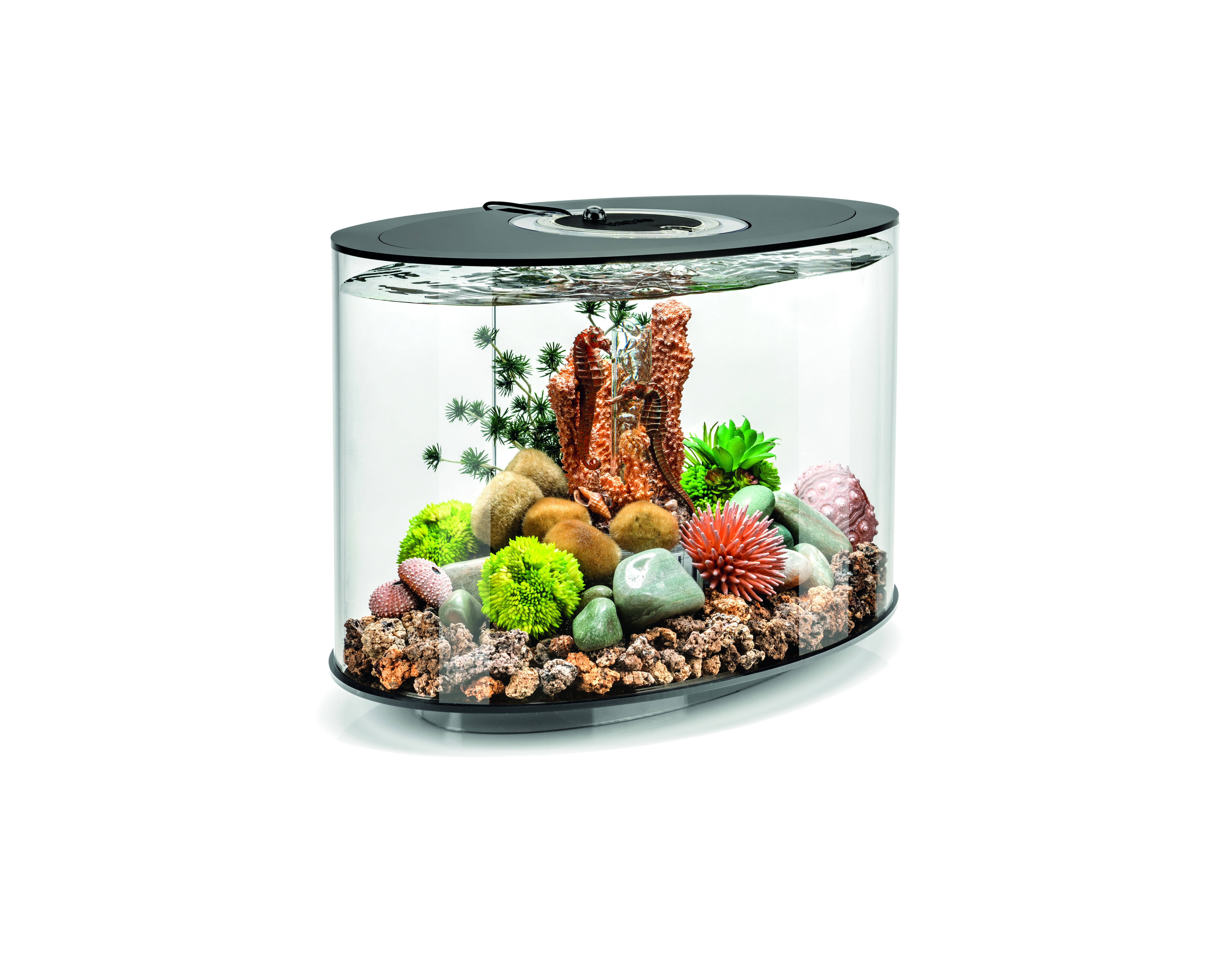BiOrb Aquarium LOOP 15 LED