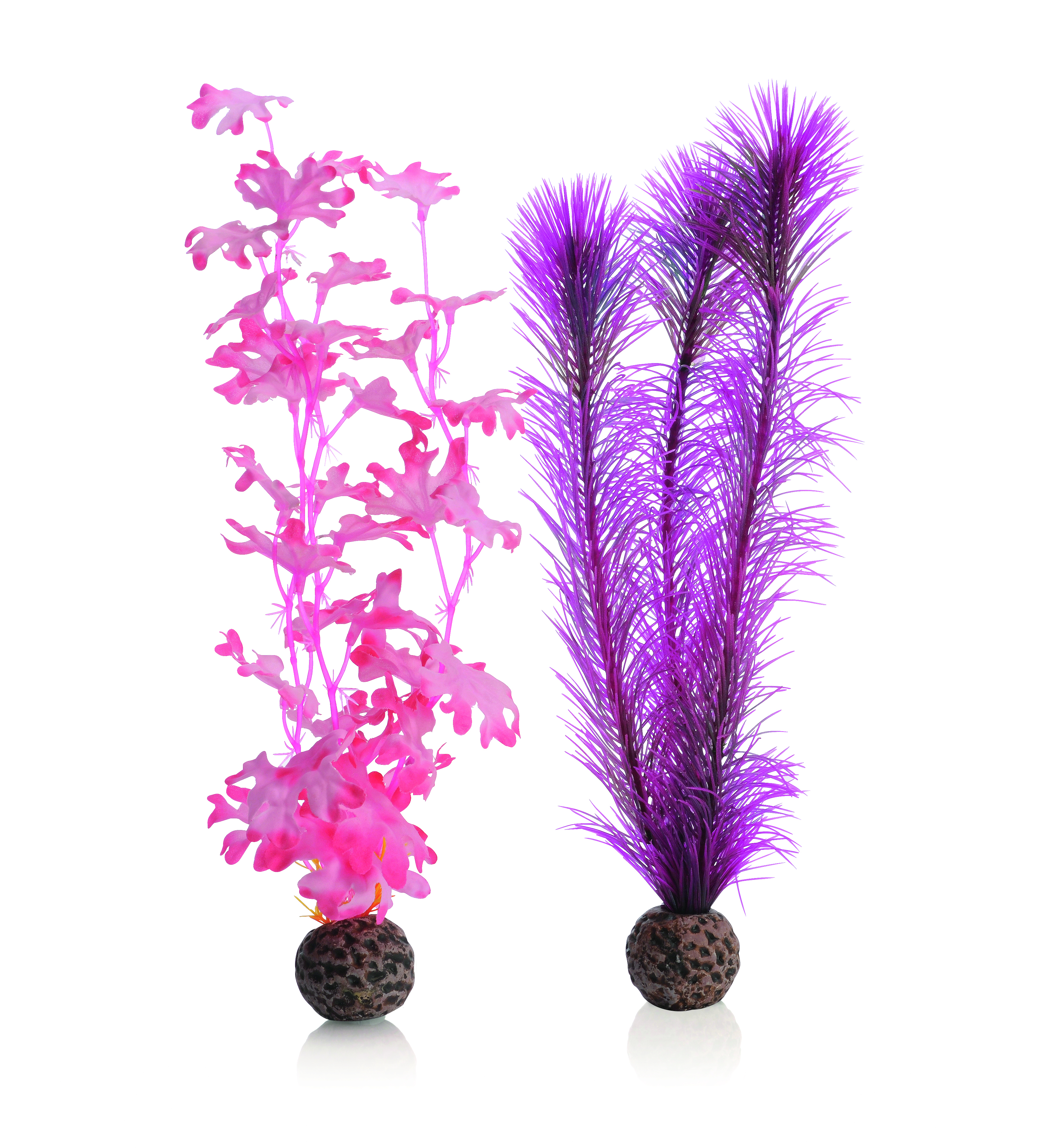 biOrb Seetang Set mittelgroß pink (46082)