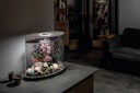Vorschaubild BiOrb Aquarium LOOP 30 MCR