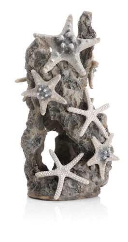 biOrb Seesternfelsen Ornament (46132)