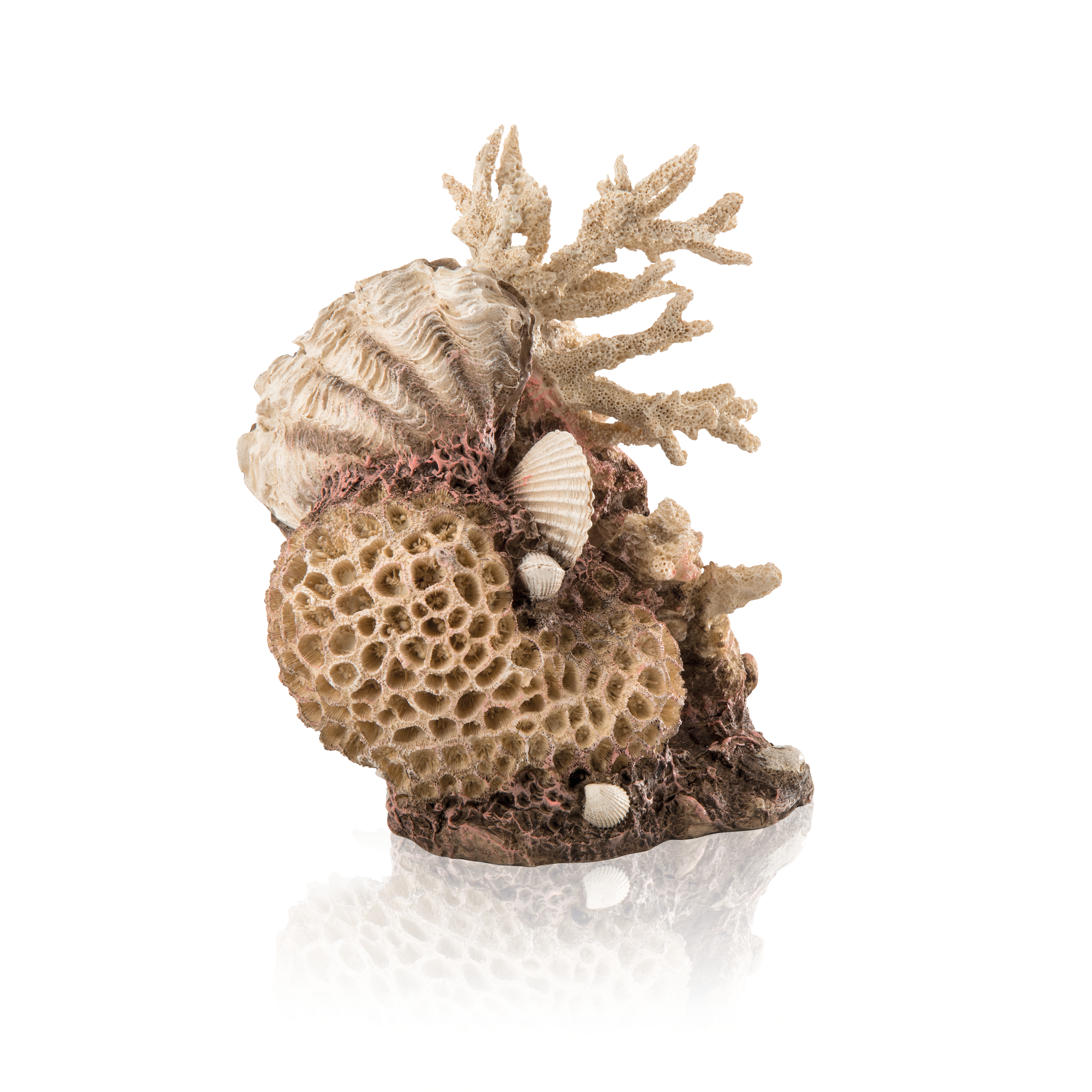 biOrb Korallen-Muschel Ornament natural (48360)
