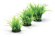 biOrb Grasring klein grün (46103) biOrb Grasring klein grün (46103)Zubehörbild