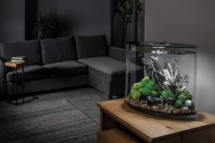 BiOrb Aquarium LOOP 30 LED