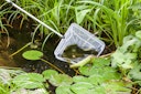 Vorschaubild Teichkescher "POND NET 25" (TZ331-00)