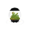 Vorschaubild BiOrb Terrarium AIR 30