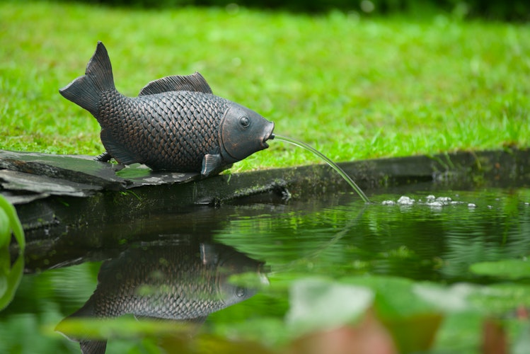 Ubbink Wasserspeier Fisch XL