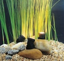 Vorschaubild Heissner Unterwasserspot 1,5 W mit 20W Trafo (U120-T)