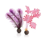 biOrb Seetang Set klein pink (46081) biOrb Seetang Set klein pink (46081)Zubehörbild