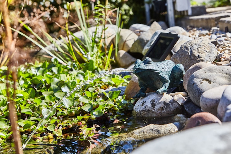Heissner Teichfigur "Frosch" mit Teichpumpe 250 l/h, Solar