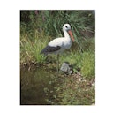 Vorschaubild Ubbink Tierfigur Storch