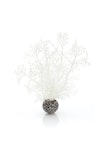 biOrb Hornkoralle klein weiß (46068)Zubehörbild