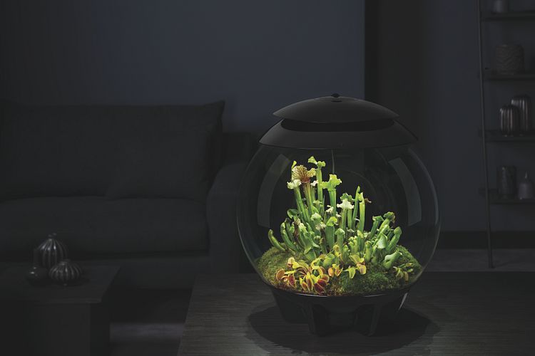 BiOrb Terrarium AIR 30