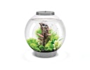 Vorschaubild BiOrb Aquarium CLASSIC 30 LED