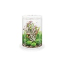 Vorschaubild BiOrb Aquarium TUBE 30 MCR