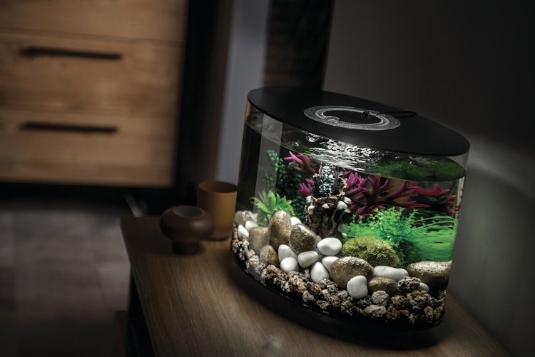 BiOrb Aquarium LOOP 15 MCR