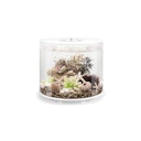 Vorschaubild BiOrb Aquarium TUBE 35 LED