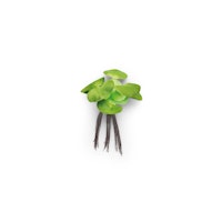 Pontec Kunstpflanze PondoHyacinth
