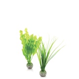 biOrb Pflanzen Set klein grün (46055) biOrb Pflanzen Set klein grün (46055)Zubehörbild