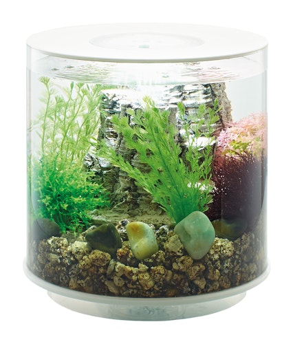 BiOrb Aquarium TUBE 15 LED