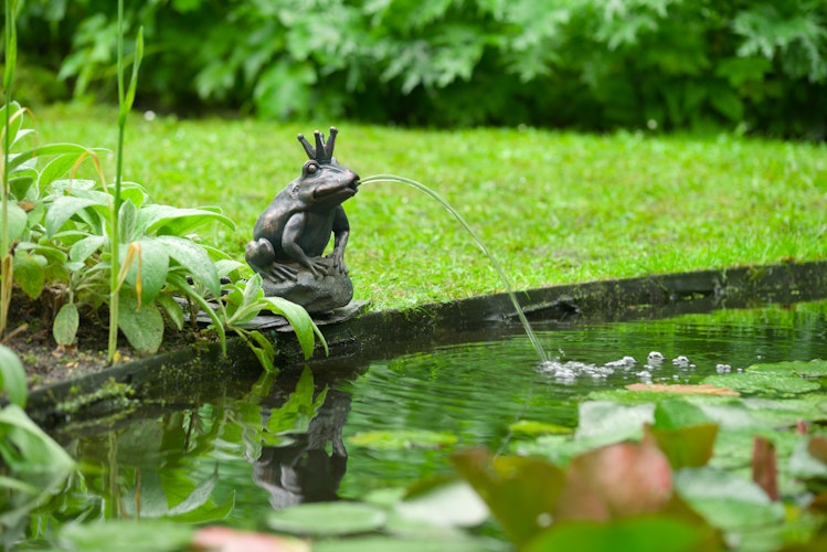 Ubbink Wasserspeier Froschkönigin