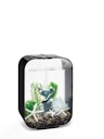 Vorschaubild biOrb Decor Set 15L Flower Garden (48443)