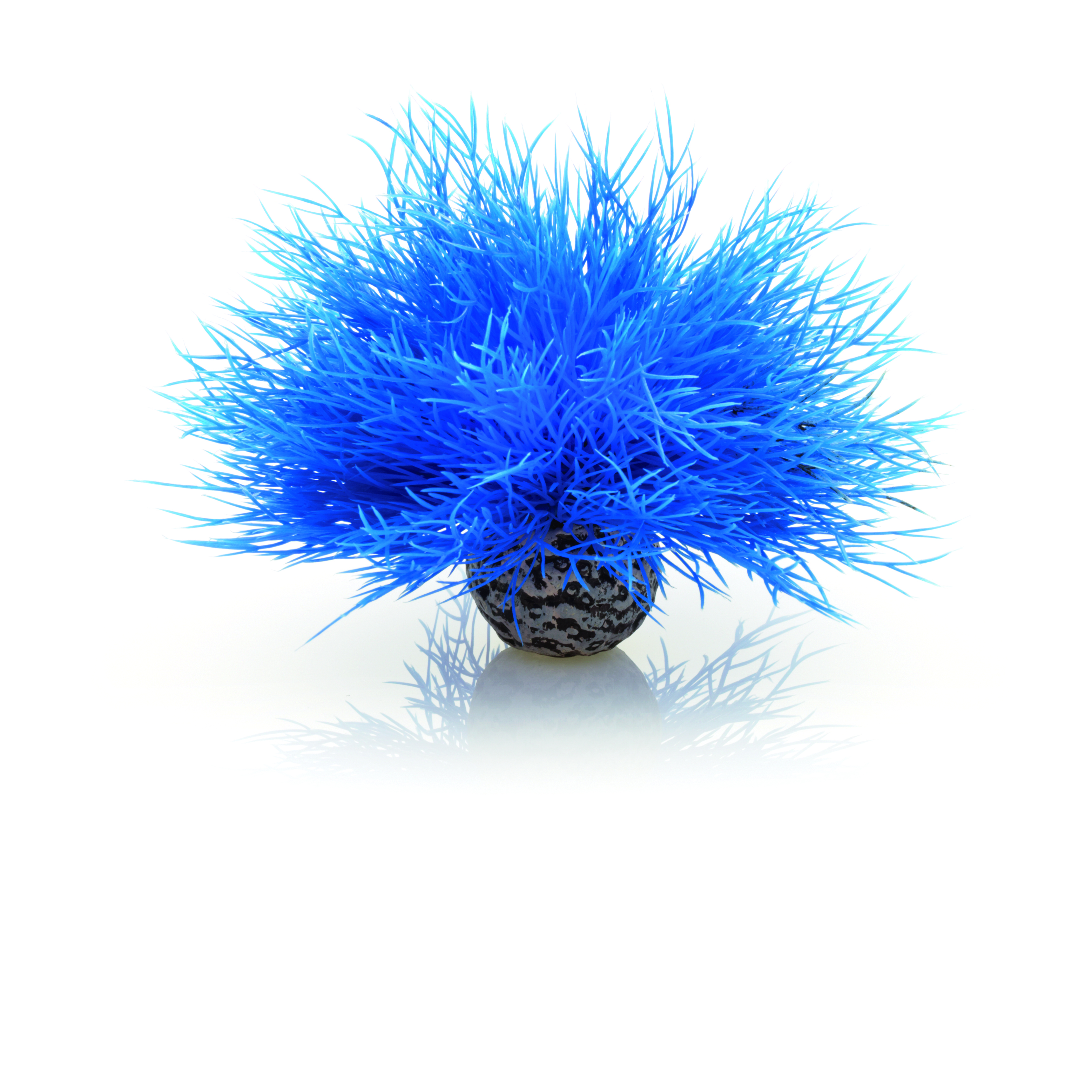 biOrb Seelilie blau (46076)