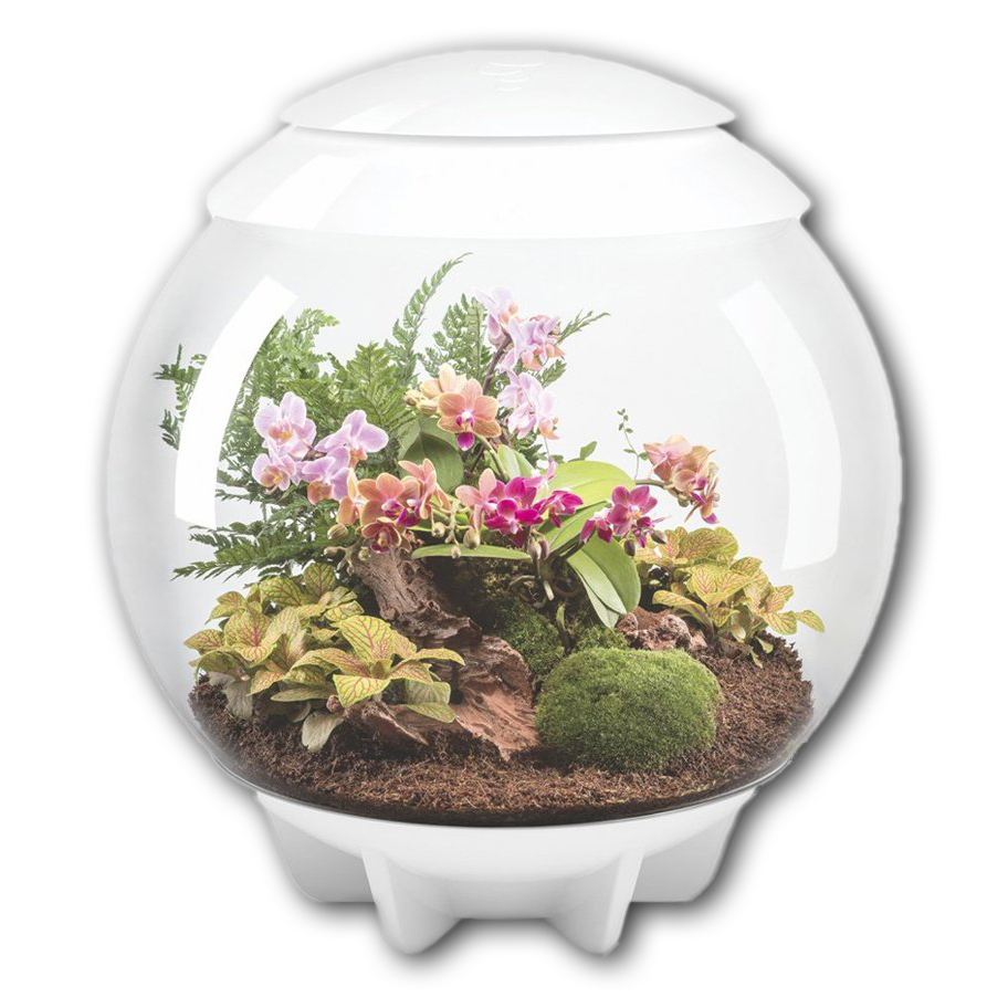 BiOrb Terrarium AIR 60