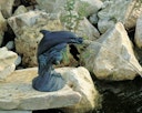 Vorschaubild Ubbink Wasserspeier Delfin