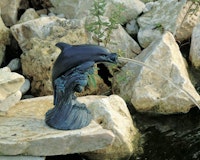 Ubbink Wasserspeier Delfin Ubbink Wasserspeier DelfinZubehörbild