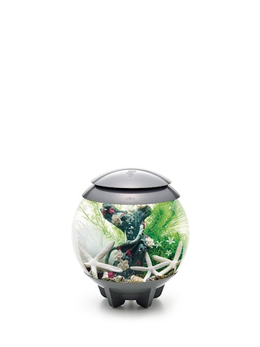 biOrb Decor Set 15L Flower Garden (48443)