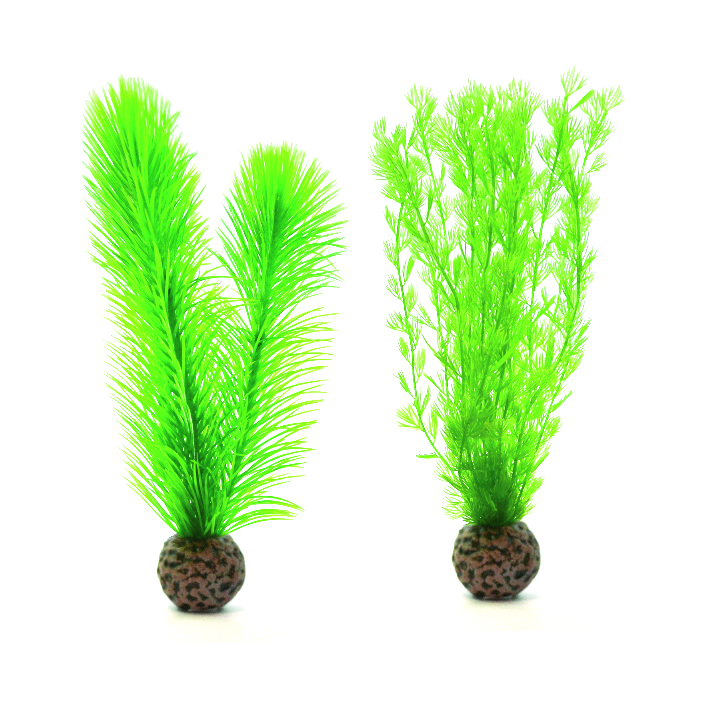 biOrb Federfarn Set klein grün (46083)