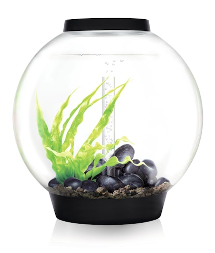 biOrb CLASSIC 60 MCR schwarz (45752)