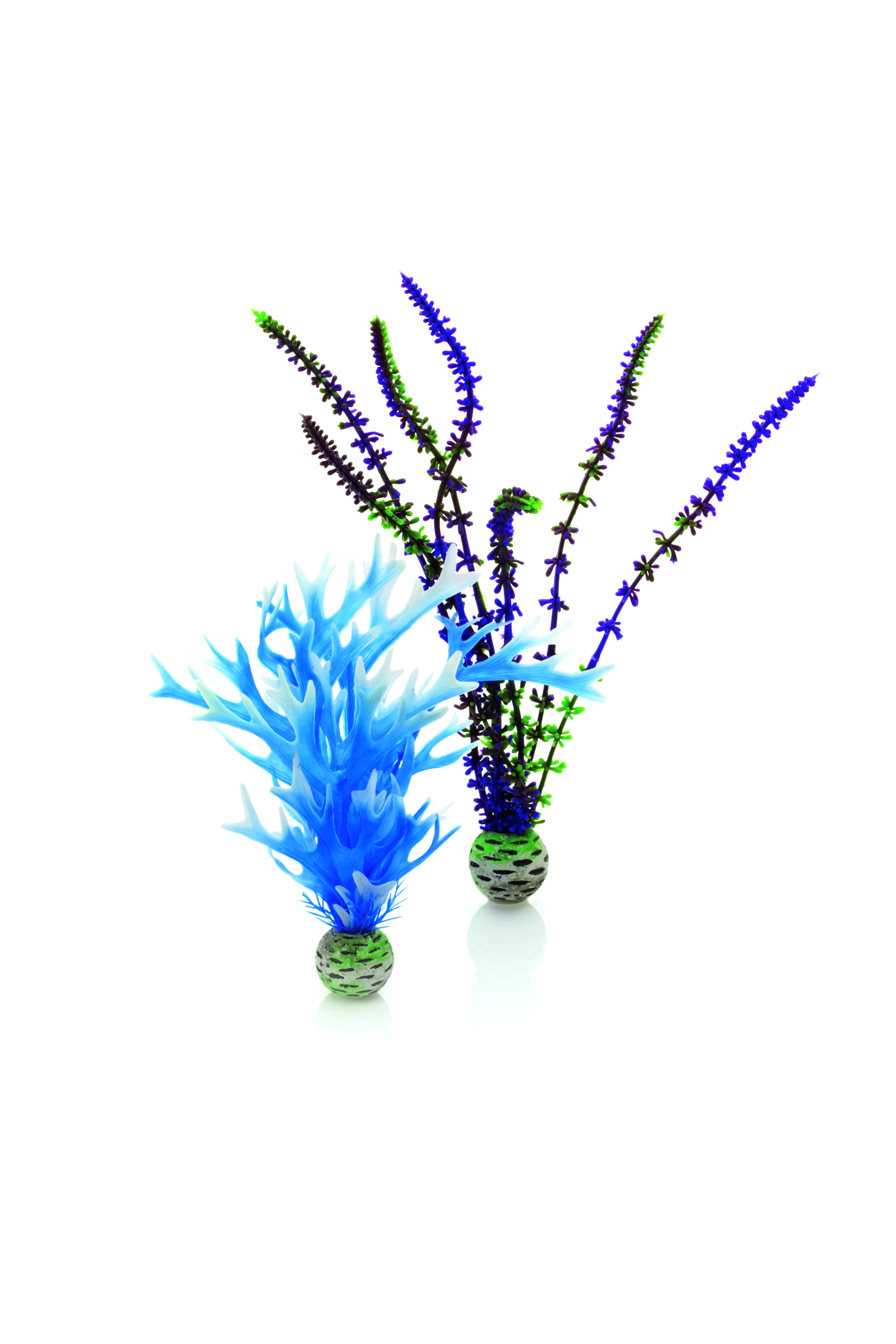 biOrb Pflanzen Set mittel blau & lila (46059)